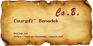 Csurgó Benedek névjegykártya